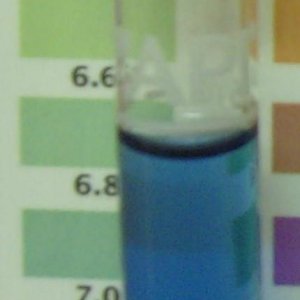 PH.jpg