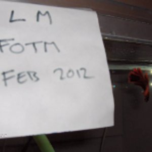 HPIM0349a.JPG