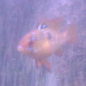 2 img.jpg