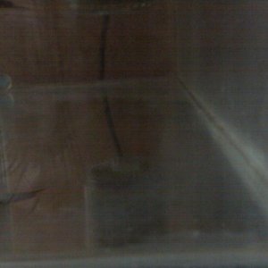 IMG00244.jpg