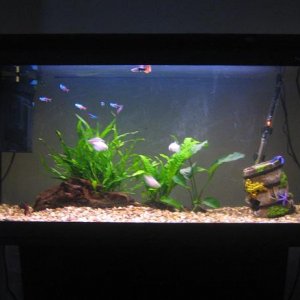 tank1.JPG