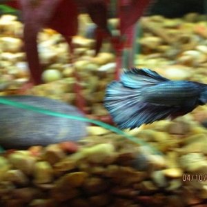 IMG_3968 - Copy.JPG