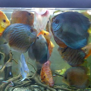 IMG-20120504-WA0006.jpg