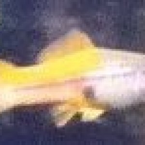 smaller 1.jpg