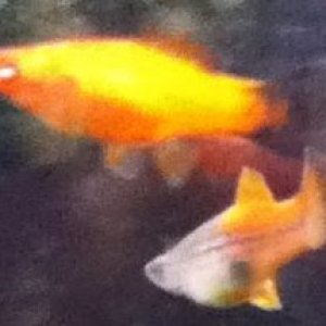 smaller 4.jpg