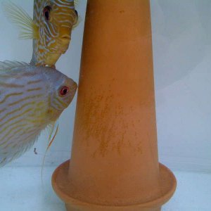 IMG-20120527-WA0004.jpg