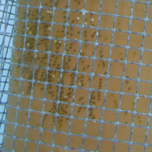 IMG-20120529-WA0000.jpg