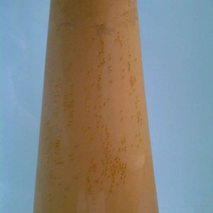 IMG-20120611-WA0002.jpg