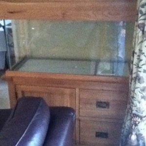 Fish Tank first.jpg