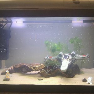 Tank Day 00.jpg
