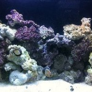 tank shot 2 8-4-12.jpg