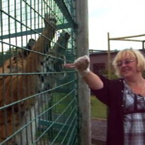 me feeding tiger.jpg