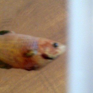 IMG-20120930-01075.jpg