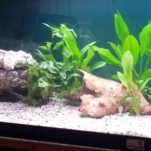 20121013_151741.jpg