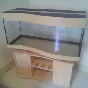 tank 1.jpg