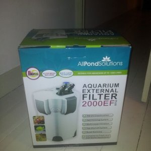 Filter in box.jpg