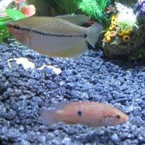 IMG_0625.JPG