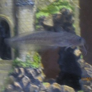 rsz_img_3590.jpg
