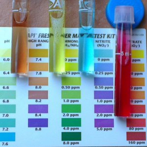 Water Samples.jpg