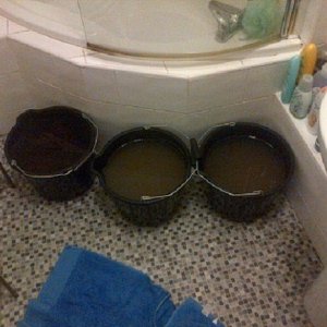 Bathroom buckets.jpg