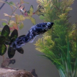IMAG0408.jpg