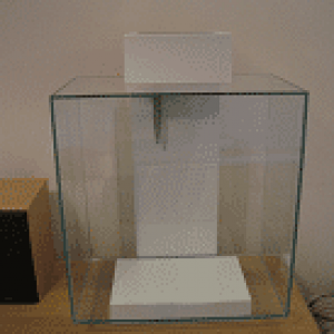 IMG_2252small.png