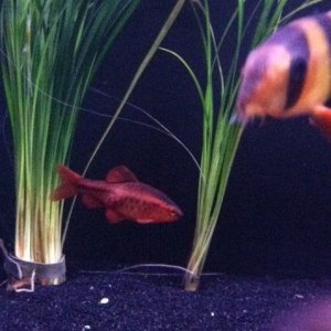 photo(1).JPG