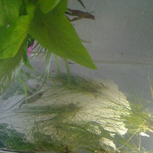 IMG_2013060158698.jpg