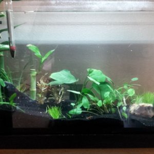 20130615_175355.jpg