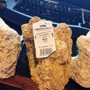 rock picture.jpg