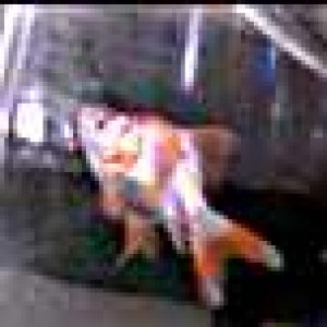 rsz_snapshot_1_6-16-2013_2-16_am.jpg