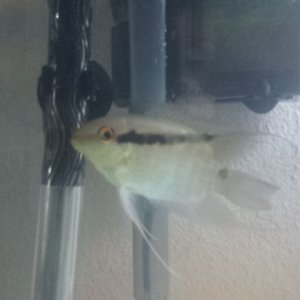 20130630_235752.jpg