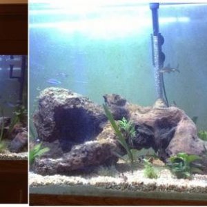 125 gal 1.JPG