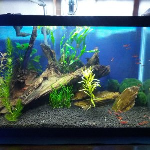 10_gallon_July102013.jpg