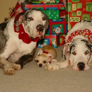 IMG_8456.JPG