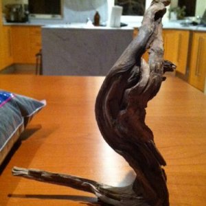 my awesome driftwood.jpg