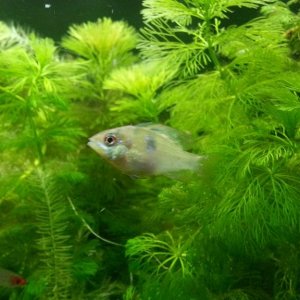 20130725_182250.jpg