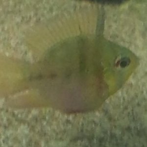 20130726_011421.jpg