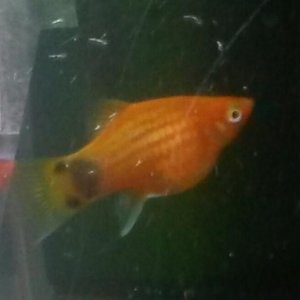 20130807_162512-1.jpg