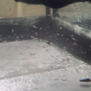 DSCF0260.JPG