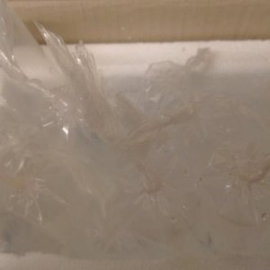 IMAG0362 (Medium).jpg