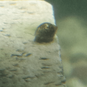 2013-10-01 20.14.10.png