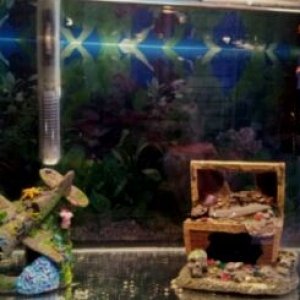 Fry tank 3.jpg
