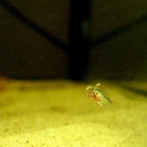 IMG_9323.jpg