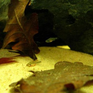 IMG_9327.JPG