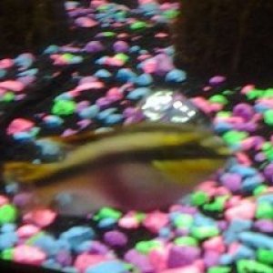 20131015_150307.jpg