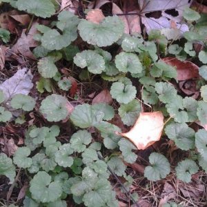 20131015_151932.jpg