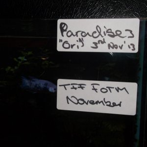 DSCF4834.JPG