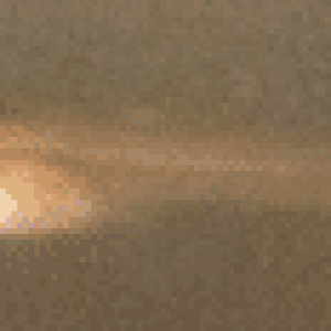 fry.png