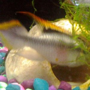 20131210_164436.jpg